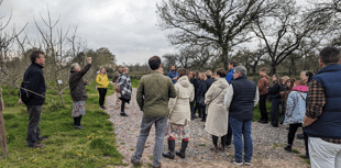 Sheppy’s Cider Farm give a cheese and cider tour at food festival