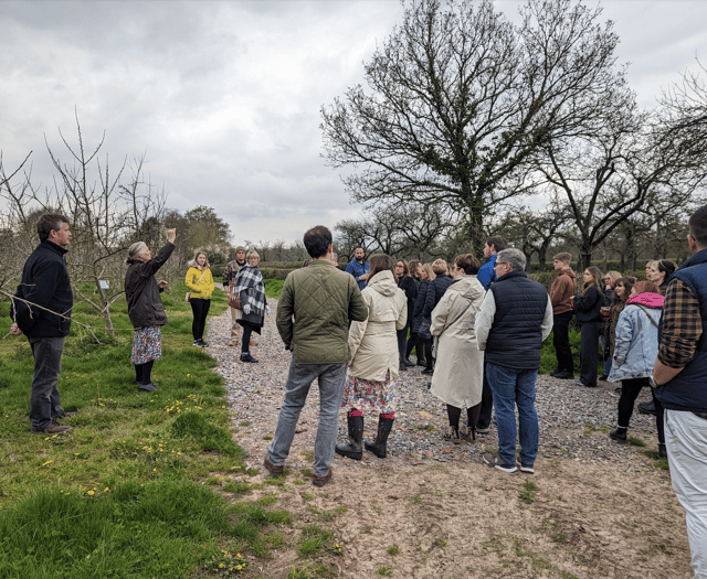 Sheppy’s Cider Farm give a cheese and cider tour at food festival