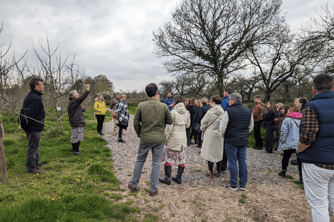 Sheppy’s Cider Farm give a cheese and cider tour at food festival