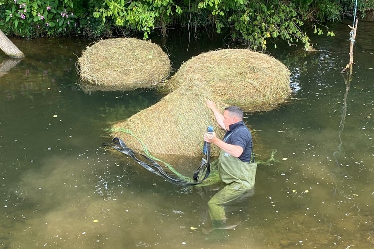 Wellington Town Council open spaces manager Darren Hill retrieving the bales of hay from the river. (Photo courtesy of Wellington Town Council)