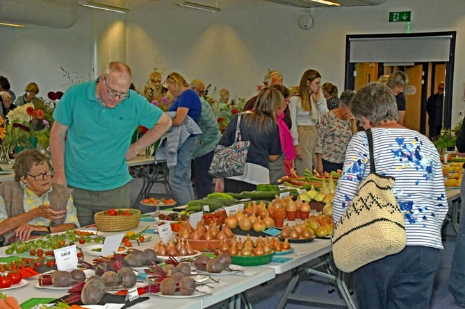 Public browsing Wellington Flower Show 2024 