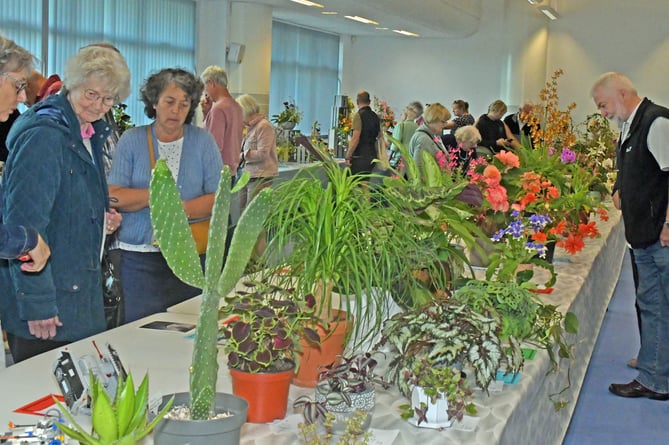 Public browsing Wellington Flower Show 2024 