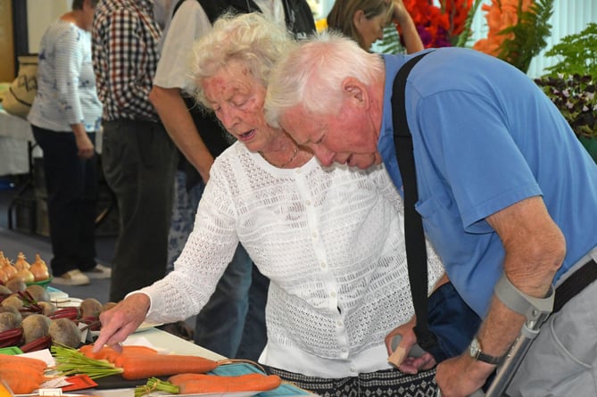 Wellington Flower Show 2024