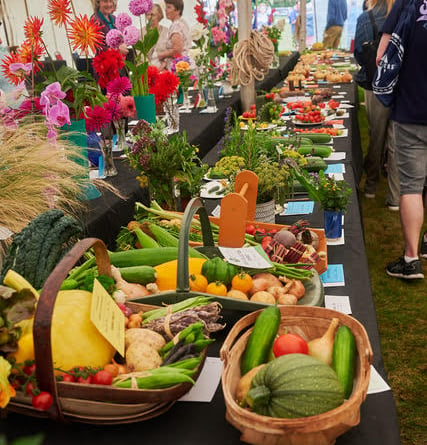 A huge range of produce was on display (PHOTOS: Courtesy of Ian Iles and Wiveliscombe Show).