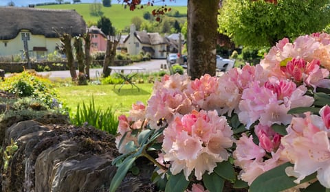 Open gardens become major hospice fund-raiser