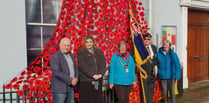 Town's knitted and crocheted poppy displays unveiled