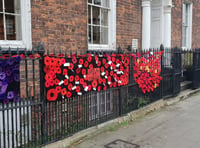 EDITORIAL: Poppy colours on display for town's annual Remembrance