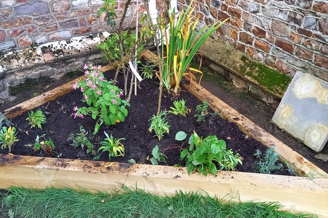 One of the flower beds in St Mary's Churchyard planted by Hemyock Primary School pupils.