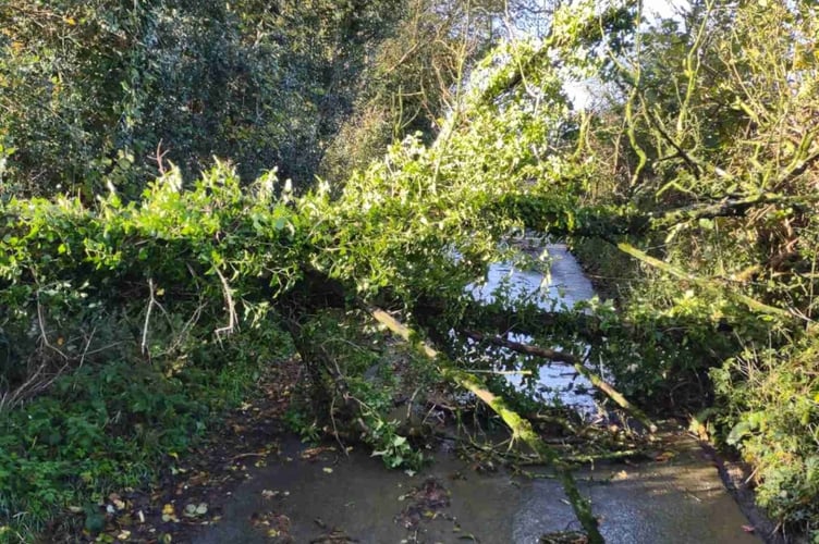 Somerset Council shares impact of Storm Bert on local communities 