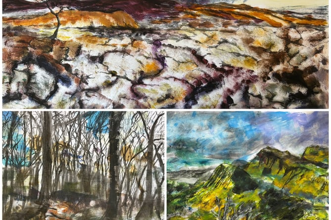 Some of the art produced at Claire Western's adult art classes