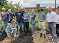 Wellington community garden win share of £10,000 worth of plants