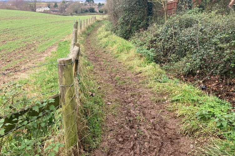 Muddy public footpath leading from Gladman site to Dobree Park in Rockwell Green (Photo: Daniel Mumby)