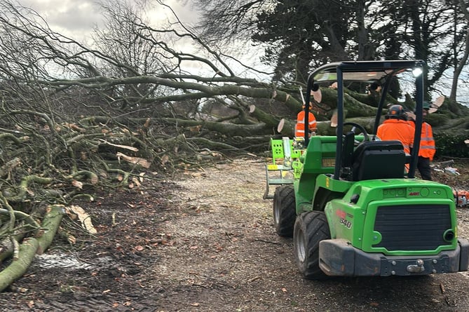 Council crews have been working around the clock to clear fallen trees in the wake of Storm Darragh (Photo: Somerset Council)