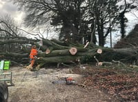 Crews working to clear 400 fallen trees after 89mph winds strike