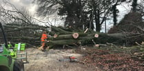 Crews working to clear 400 fallen trees after 89mph winds strike