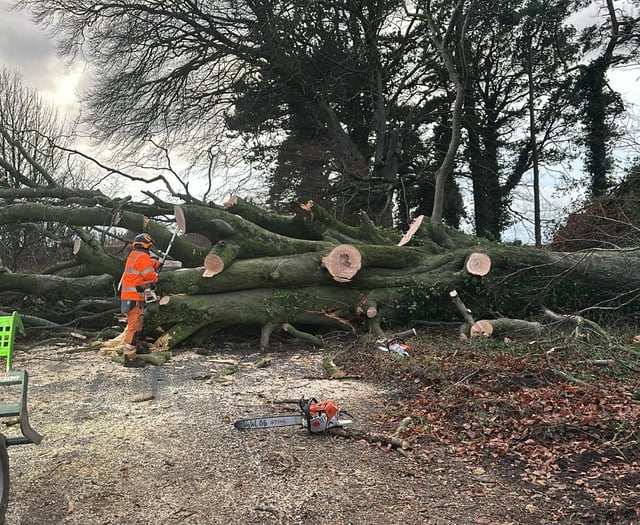 Crews working to clear 400 fallen trees after 89mph winds strike