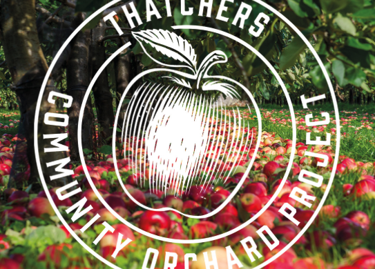 Cider-maker Thatchers is offering free apple trees to community groups.