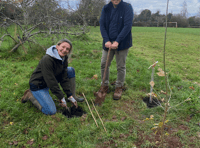 New Wellington tree planting dates released for 2025 