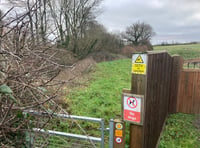 Anger over tree which has blocked Blackdown Hills path for over a year