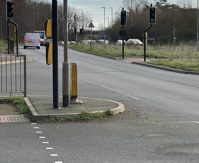 Claims village's 'dangerous' traffic lights are confusing drivers