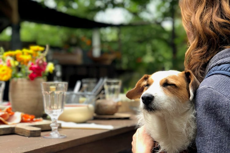 On March 2, dog-owners and puppy lovers will have the chance to gather at Wellington’s BrewTwo café for a special Doggy Coffee Morning fundraiser 